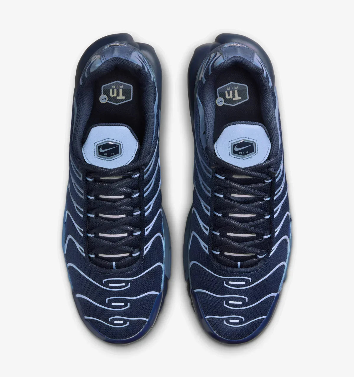 Nike TN Air Max Plus TN 'Obsidian Aluminum'