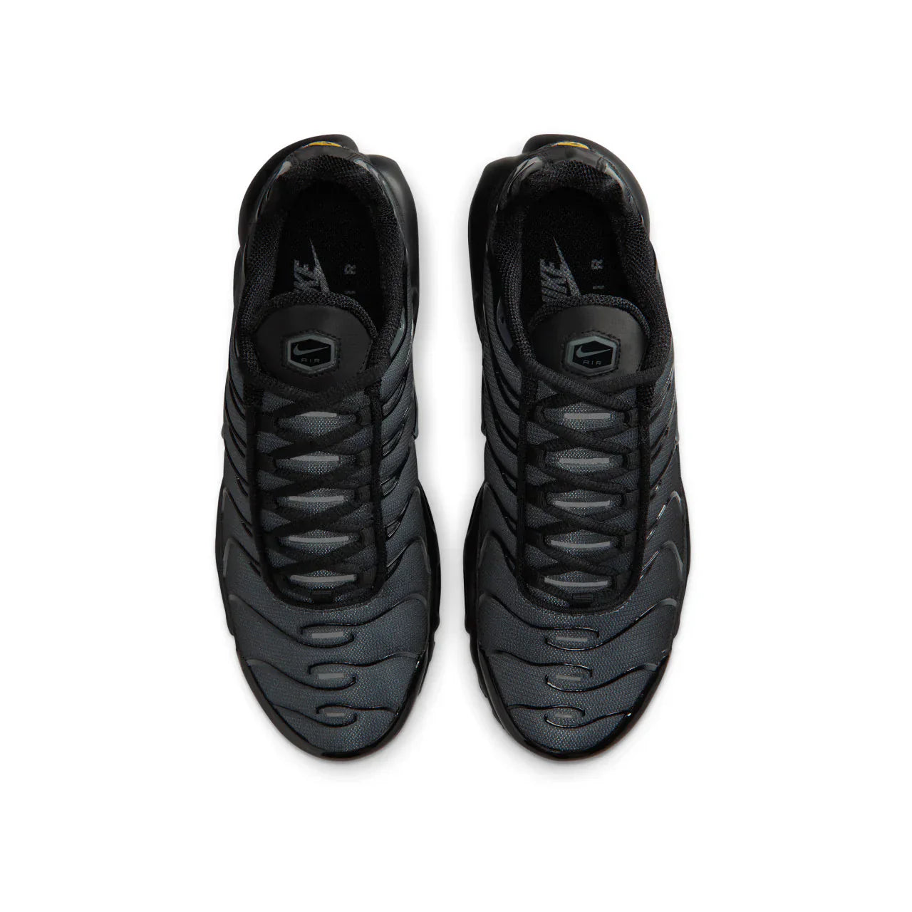Nike Air Max Plus TN Plus 'Dark Grey'