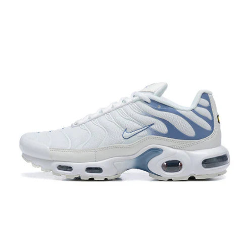 Nike Air Max Plus TN Ashen Slate