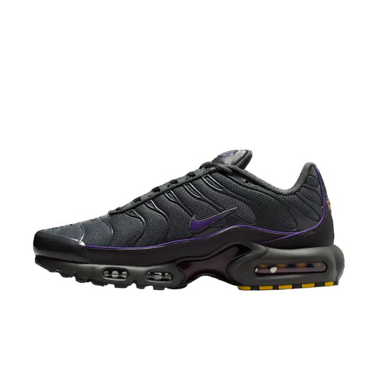 Nike Air Max Plus Grey/Wild Grape