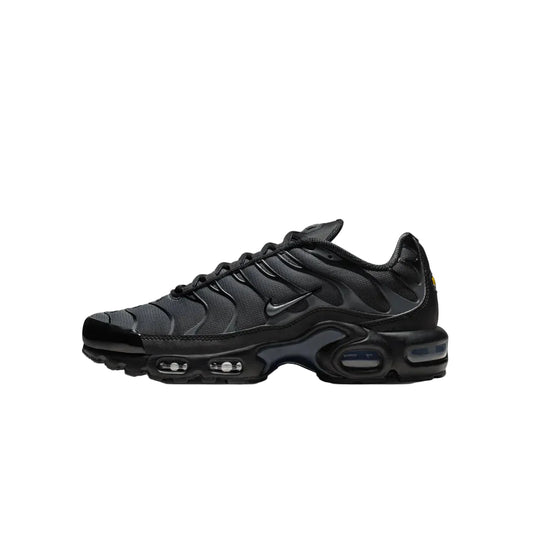 Nike Air Max Plus TN Plus 'Dark Grey'