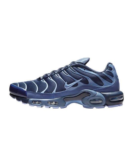 Nike TN Air Max Plus TN 'Obsidian Aluminum'